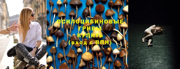 спиды Пестово