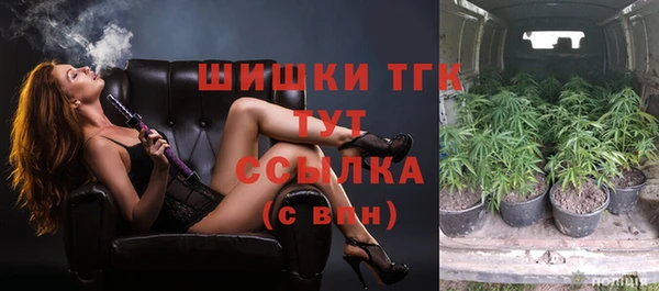 PSILOCYBIN Дедовск