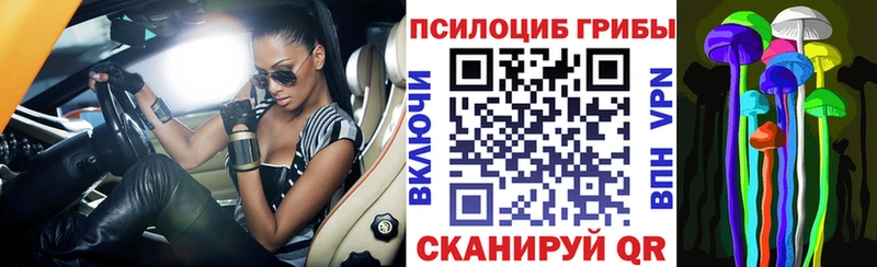 Галлюциногенные грибы Psilocybine cubensis  Электроугли 